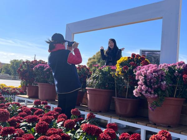 在黑龙江大庆，“大庆油田第八届菊花文化节”吸引游客打卡观光。人民网 欧阳易佳摄